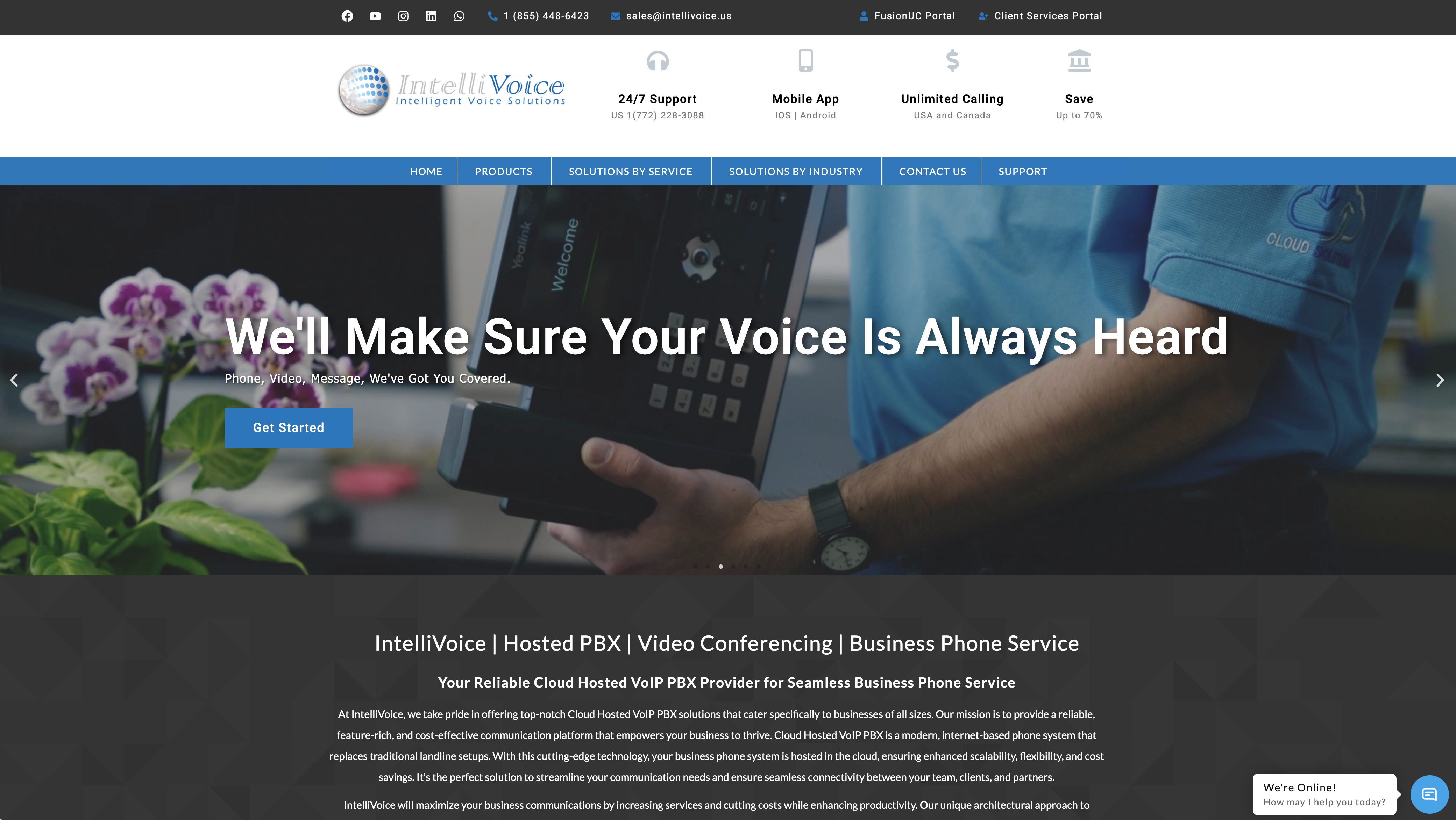 IntelliVoice homepage at intellivoice.us